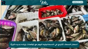 أسعار السمك تتأرجح في الإسماعيلية اليوم مع توقعات بزيادة جديدة قريبًا